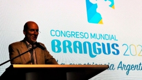 Corrientes será sede del Congreso Mundial de Brangus
