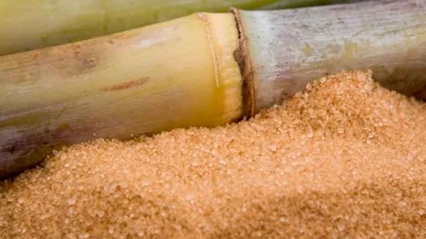 Estados Unidos amplió en 4 mil toneladas la cuota de importación de azúcar crudo argentino