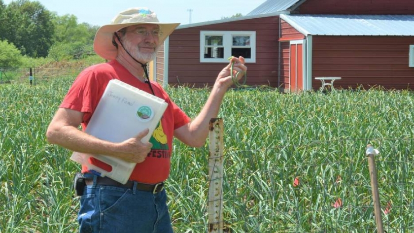 El cultivo de ajo en Minnesota