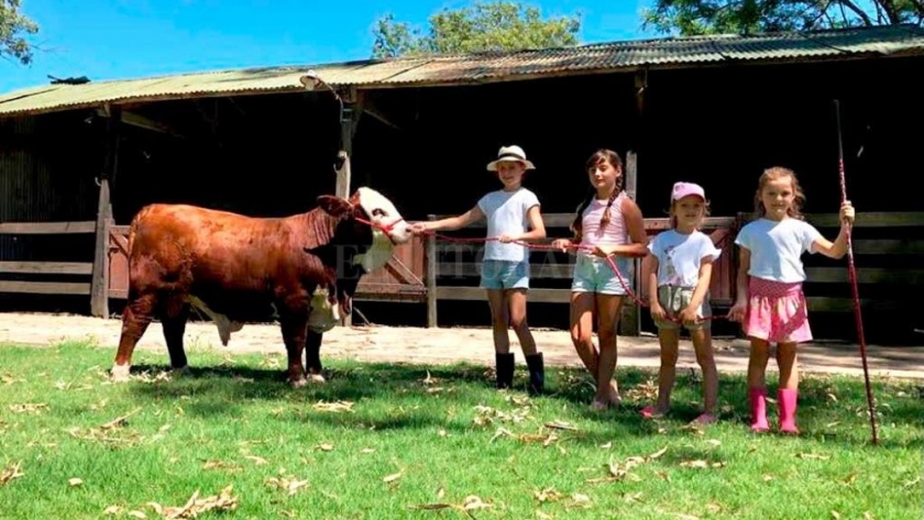 El toro de Vignatti para salir campeón
