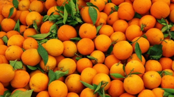 En 2023 faltarán naranjas y están en riesgo los duraznos