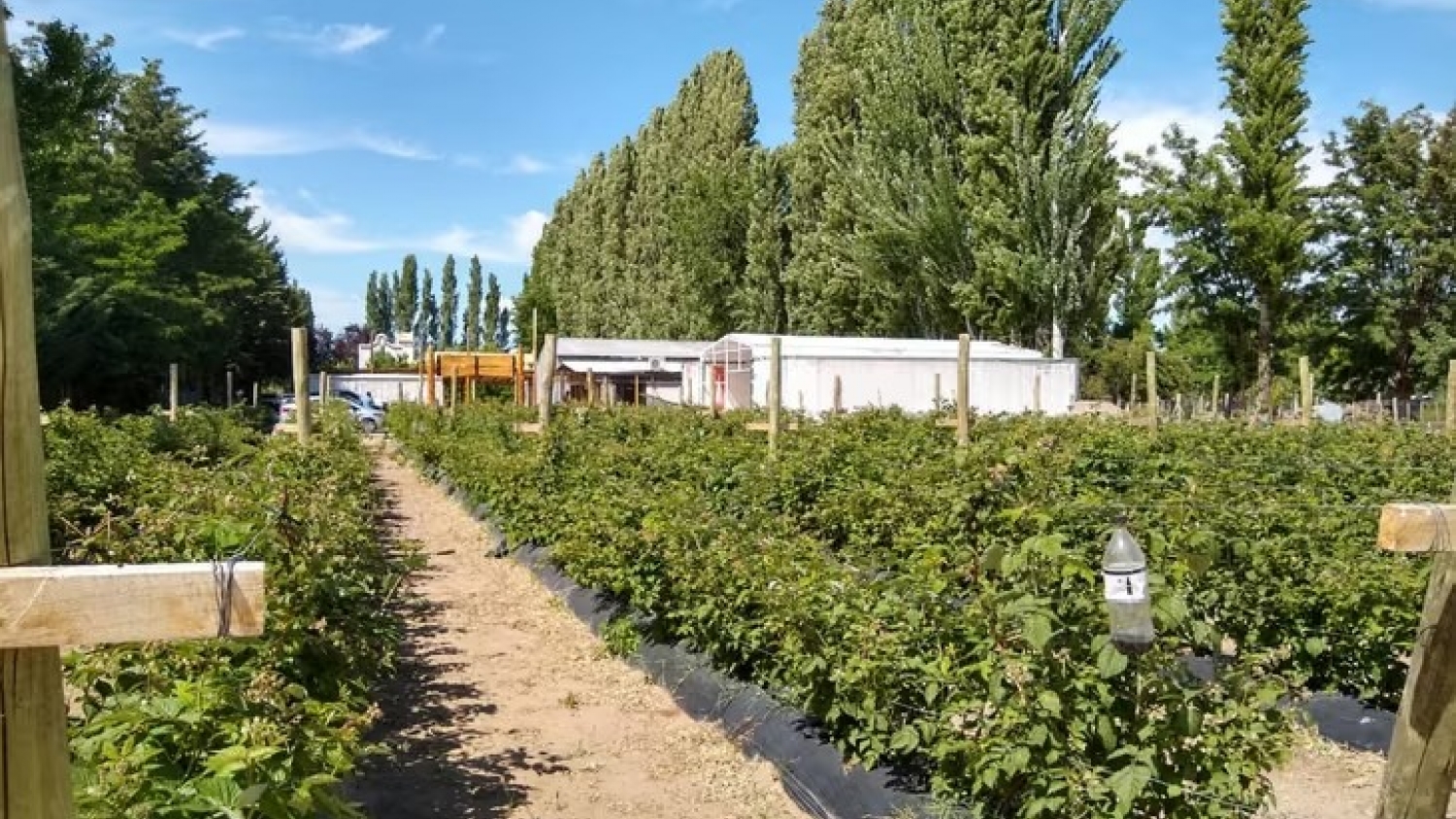 Sala de agroalimentos en Plottier: firman un convenio