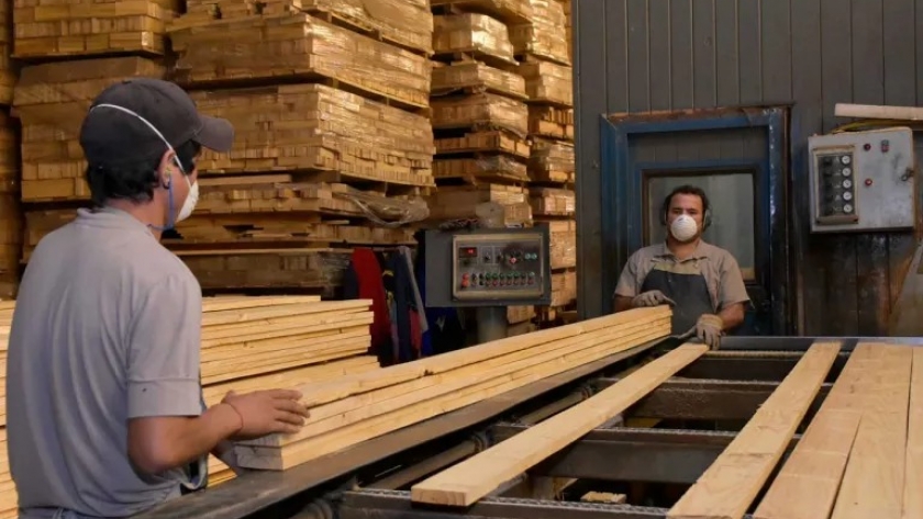 Apuntan a un desarrollo global de la foresto industria nacional