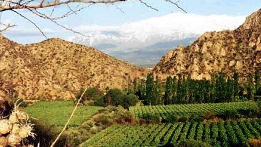 Productores y representantes del sector vitivinícola riojano, se reunieron con autoridades del INV