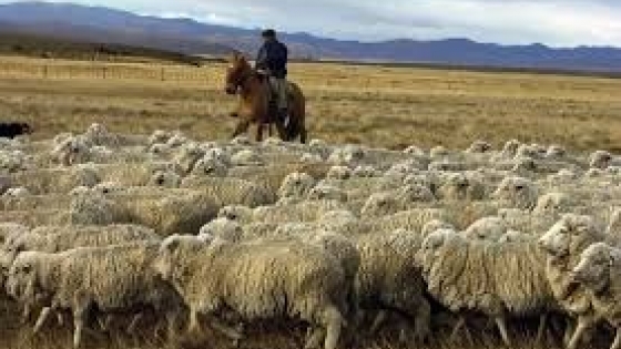 Santa Cruz: impulsan un plan para recuperar más de 2 millones de hectáreas y relanzar la ganadería ovina con financiamiento verde