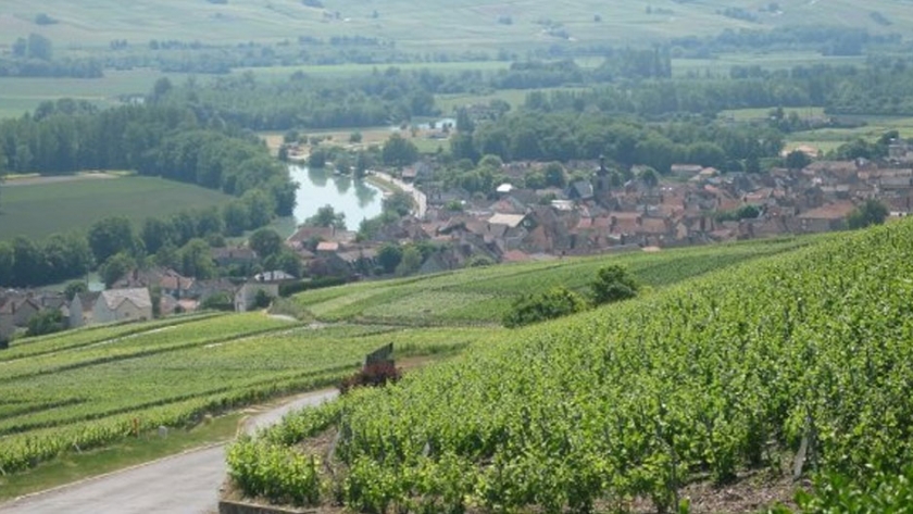 Francia apuesta por una agricultura con menos fitosanitarios