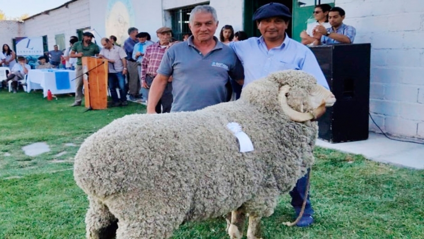 Río Negro: El sector ovino acordó estrategias de control zoofitosanitario