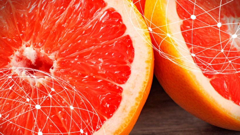 Resumen del mercado global del pomelo