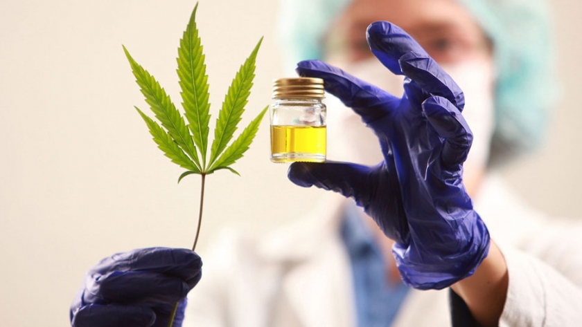 Se firmó una Carta Intención para capacitar en cannabis medicinal