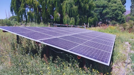 Energía solar y riego eficiente: la combinación que transforma la producción agrícola