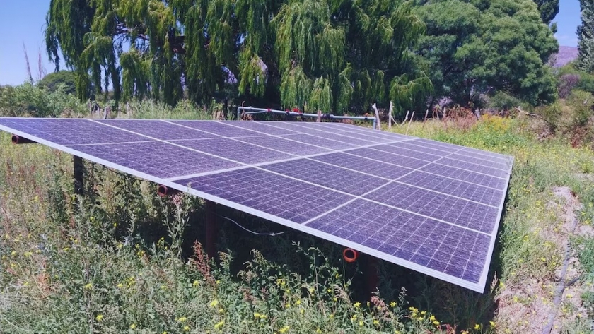 Energía solar y riego eficiente: la combinación que transforma la producción agrícola