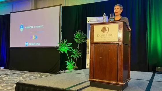 Mendoza impulsa inversiones en minerales estratégicos durante misión oficial en Londres