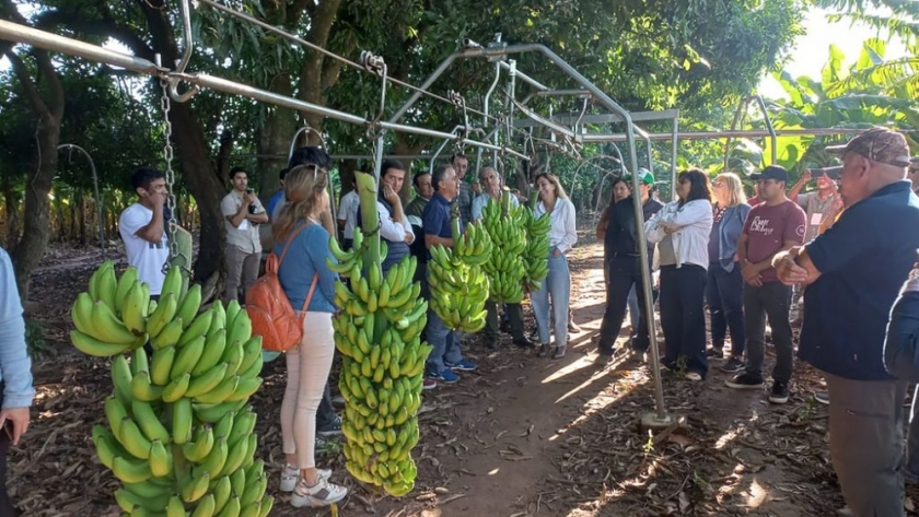 Innovaciones tecnológicas para la producción de cultivos tropicales