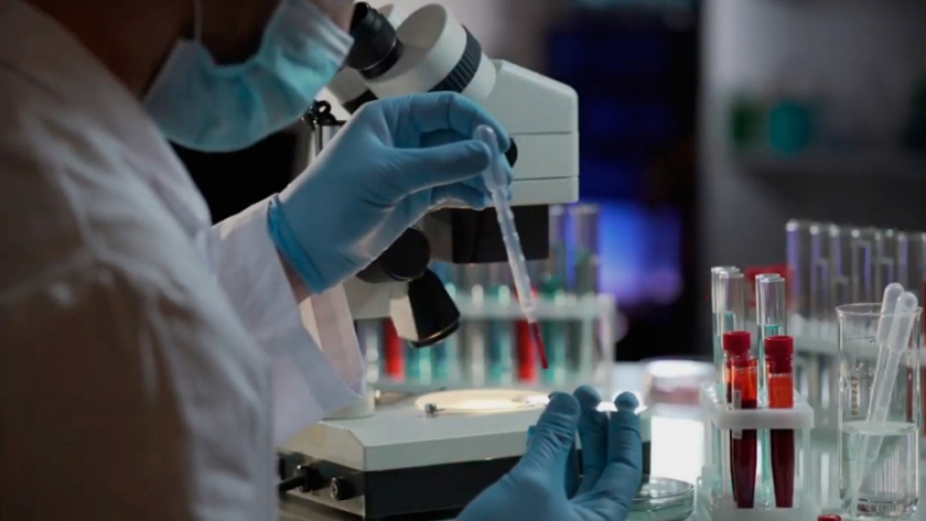 Santa Fe y la UNESCO trabajan para fortalecer las políticas que promuevan la ciencia y la tecnología