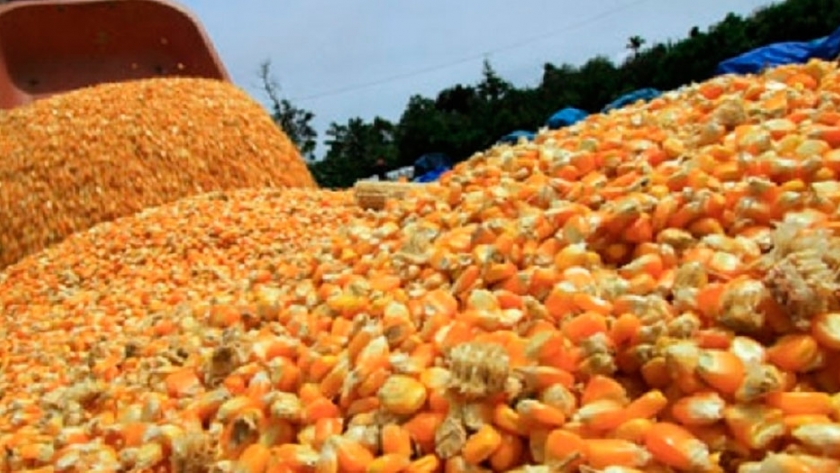 Retenciones: el impuesto que ahoga a los productores