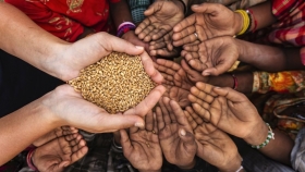 La propuesta de la FAO para combatir la crisis alimentaria mundial