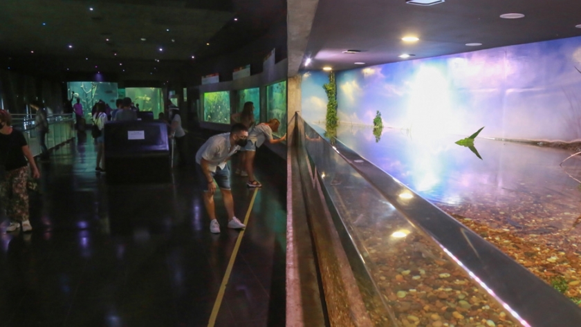 Cientos de familias acompañaron la reapertura del Acuario del Río Paraná, en la ciudad de Rosario