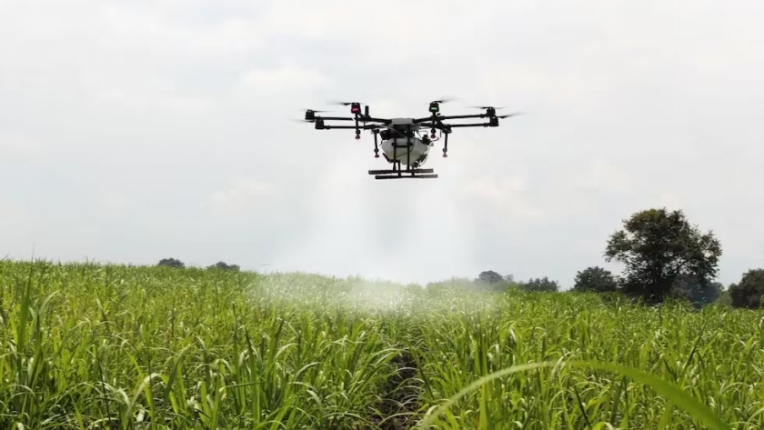 El futuro del agro argentino: innovación, sostenibilidad y desarrollo estratégico