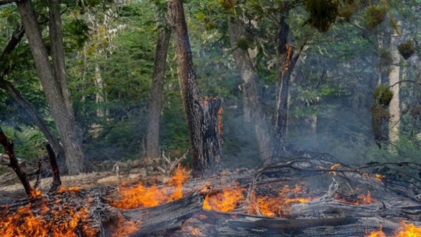 Paredes: “El riesgo de hacer fogatas hoy en Tierra del Fuego es enorme”