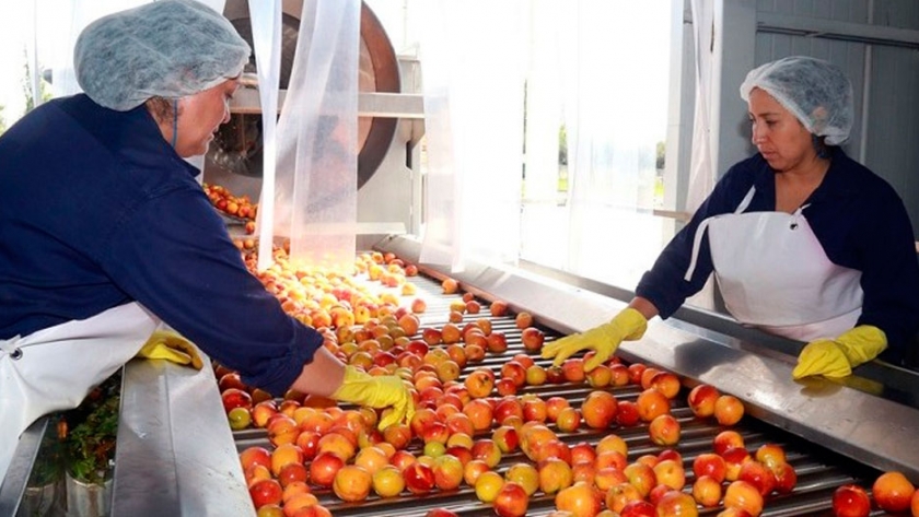 Frutas con valor agregado en San Rafael