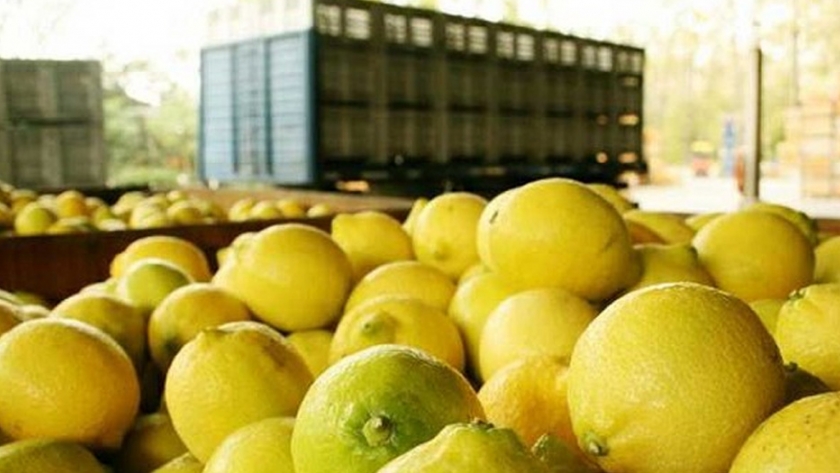 Las exportaciones de frutas frescas crecieron un 6 por ciento en relación al 2019