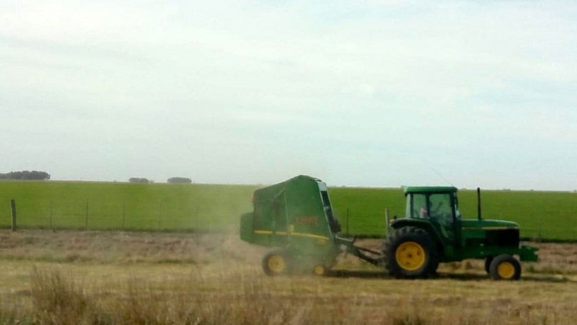 Análisis de modelos ganaderos de cría - recria bovina en Bahía Blanca