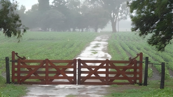 <Llegaron las lluvias a zona núcleo y trajo alivio a productores