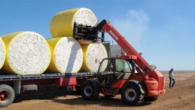 El kilo de fibra de algodón en $470