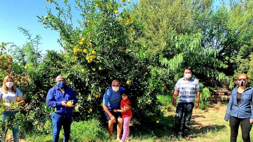 Avanza el programa Huerta en Casa en Arauco