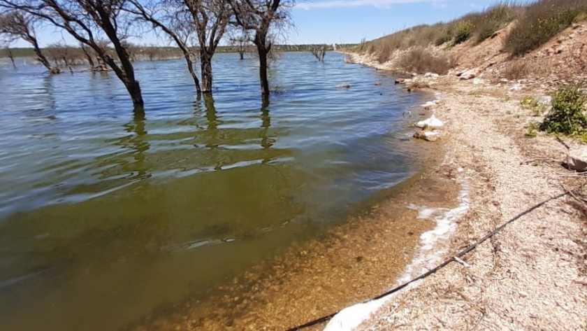 Mortandad de camarones: se tomaron muestras de agua en Bajo Giuliani