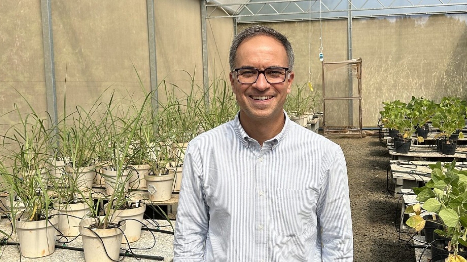 Reevaluating Agricultural Biologicals: Unlocking Their Full Potential in Regenerative Farming and Climate Finance