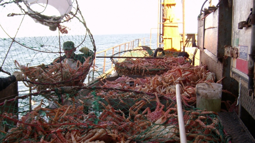 El INIDEP y el IFOP chileno planifican nuevas líneas de trabajo sobre pesquería de centolla
