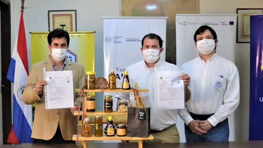 Acuerdan promover el crecimiento de la cadena apícola en el Paraguay