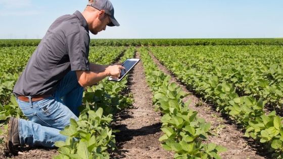 Transparencia y trazabilidad: claves para una agricultura global competitiva y sustentable