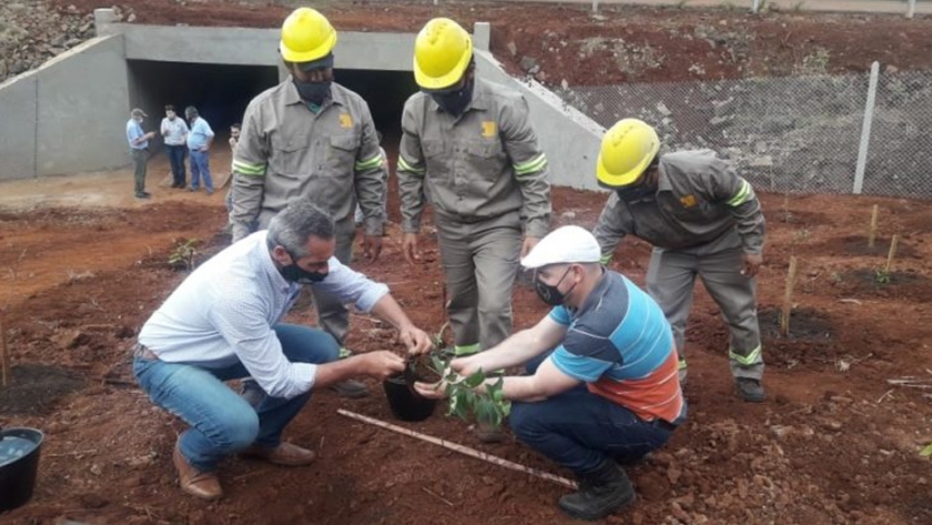 En el día del árbol ecología plantó especies nativas en pasafaunas de la autovía de la ruta nacional 12