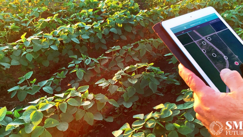 Agricultura de precisión: la revolución de la tecnología profunda está reinventando la agricultura india