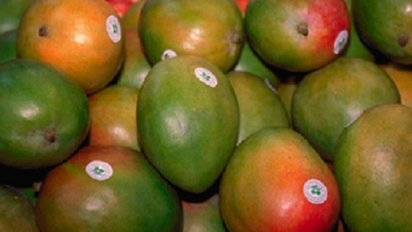 El mango aumentó su comercialización en Argentina en los últimos 5 años