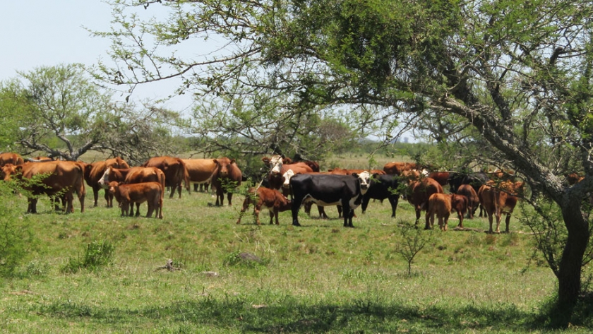 Entre Ríos suma ambientes naturales al Sistema Provincial de Áreas Protegidas