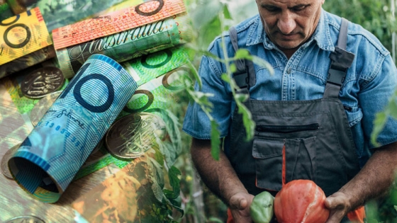 La crisis del trabajo agrícola en Australia amenaza con el aumento de los precios de las frutas y hortalizas