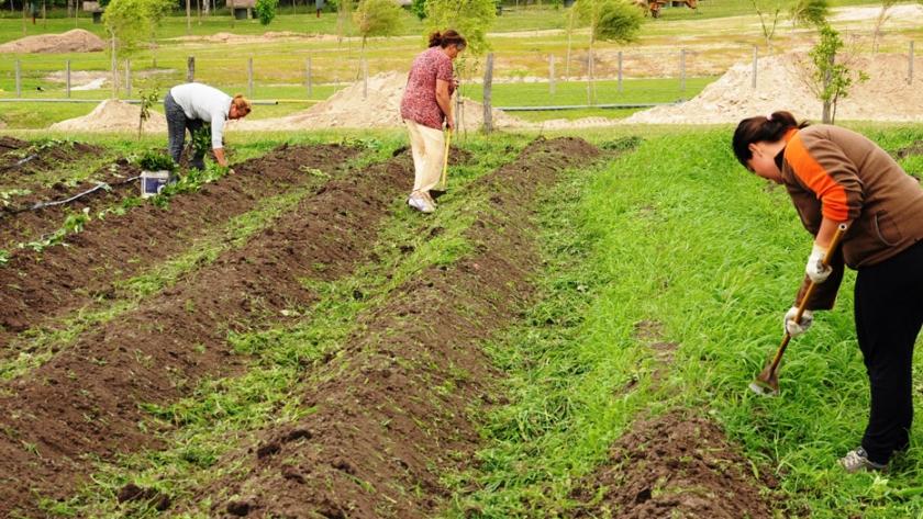 Capacitaciones virtuales en Huerta Agroecológica en la ciudad de La Rioja