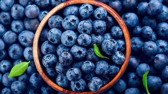 El arándano acelera su expansión y redefine el comercio agrícola global