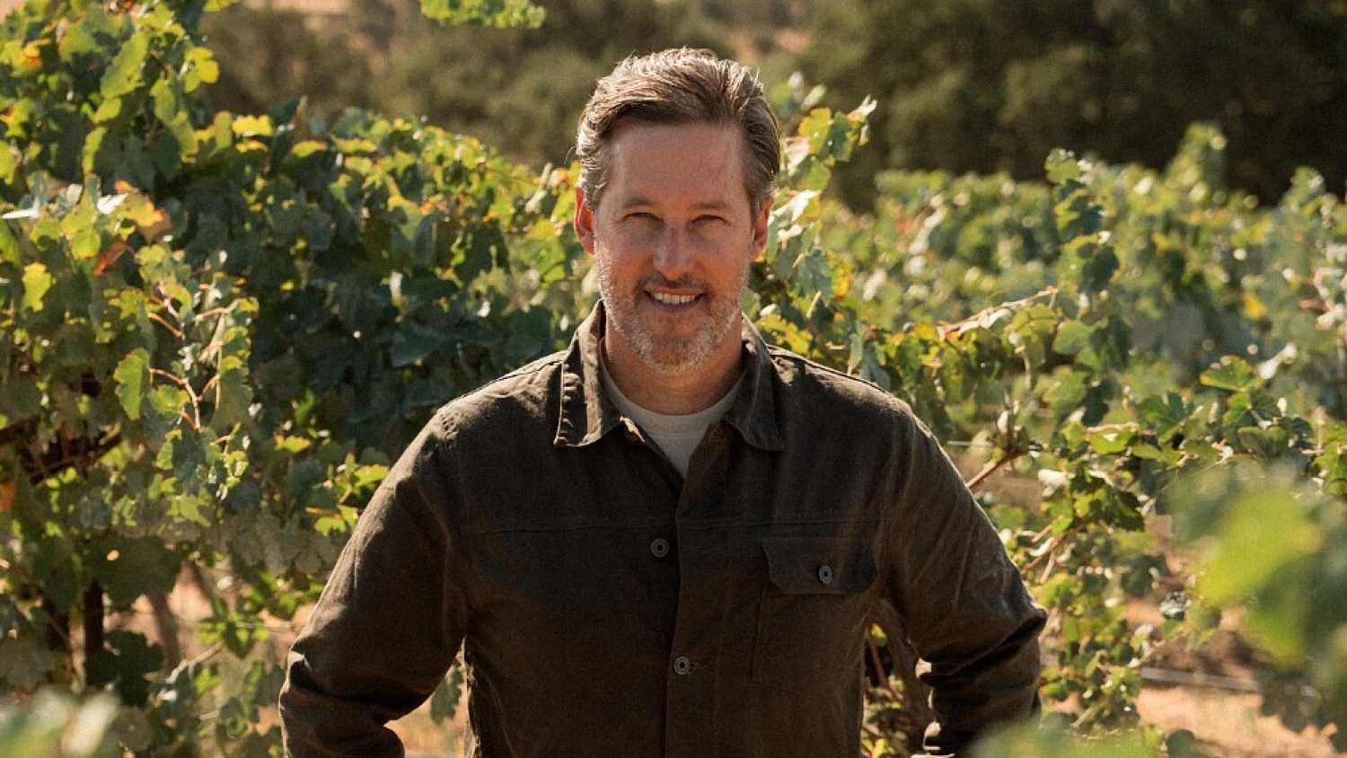 Saga Robotics accelerates US vineyard expansion with new leadership and fresh capital for UV-C robots