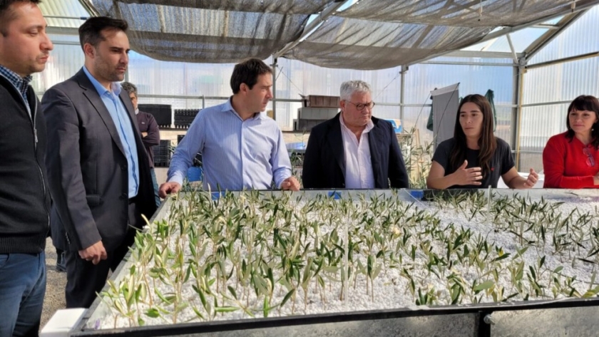 Comodoro Rivadavia: Nuevas acciones de acompañamiento a la producción olivícola provincial