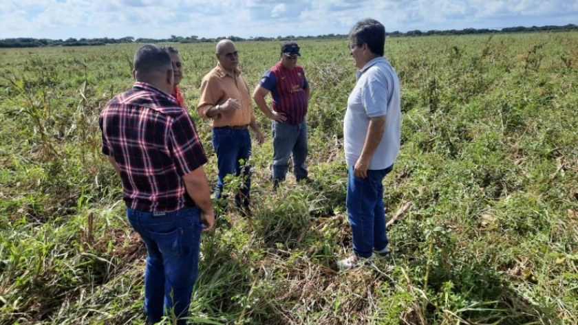 La Argentina y Cuba avanzan en la creación de un centro de tecnología agroalimentaria