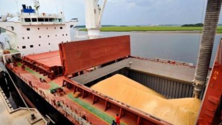 El Gobierno Nacional simplifica los trámites para exportar granos, carnes y lácteos, y moderniza el registro agroindustrial