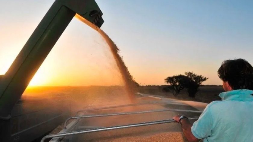 Dos agricultores canadienses acordaron la primera transacción de maíz por Blockchain