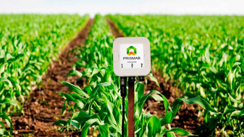 Sensores inteligentes, la tecnología española para evitar desastres en el campo