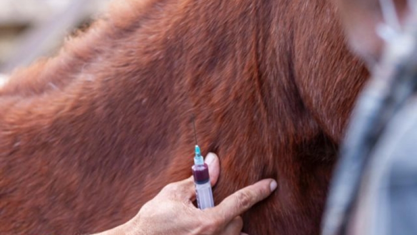 Nuevas condiciones para uso de antimicrobianos