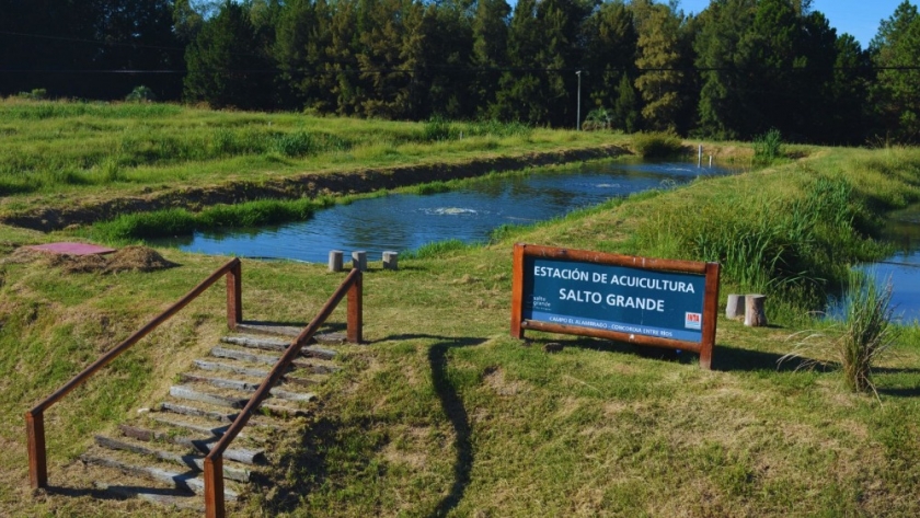 En Entre Ríos, se consolida la producción de peces