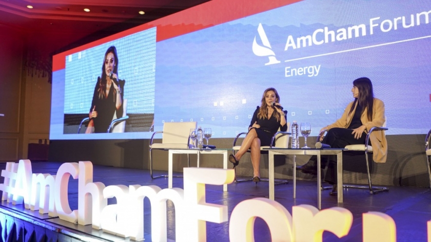 Royon en AmCham: la energía como política de Estado